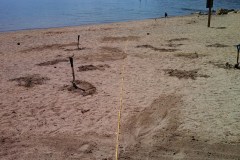 Quest-for-the-Grail-Dig-Site