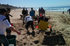 Sandcastle-Wars-the-war