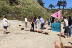 Survivor Team Building Activity
