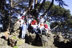 SurvivorsSF