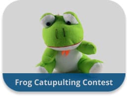 Frog Catapulting Team Building