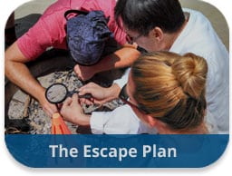 The Escape Plan Team Building