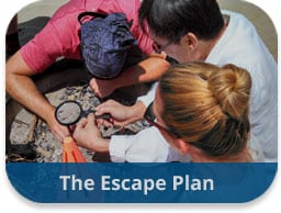 the-escape-plan