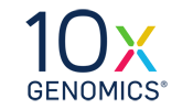 10X Genomics